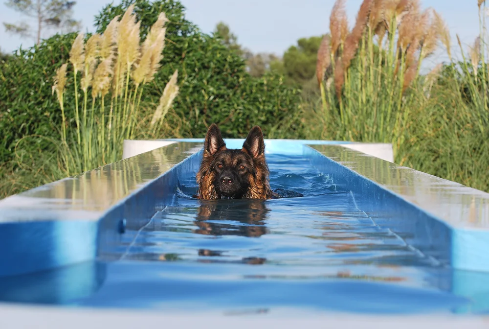 Instalações - detalhe